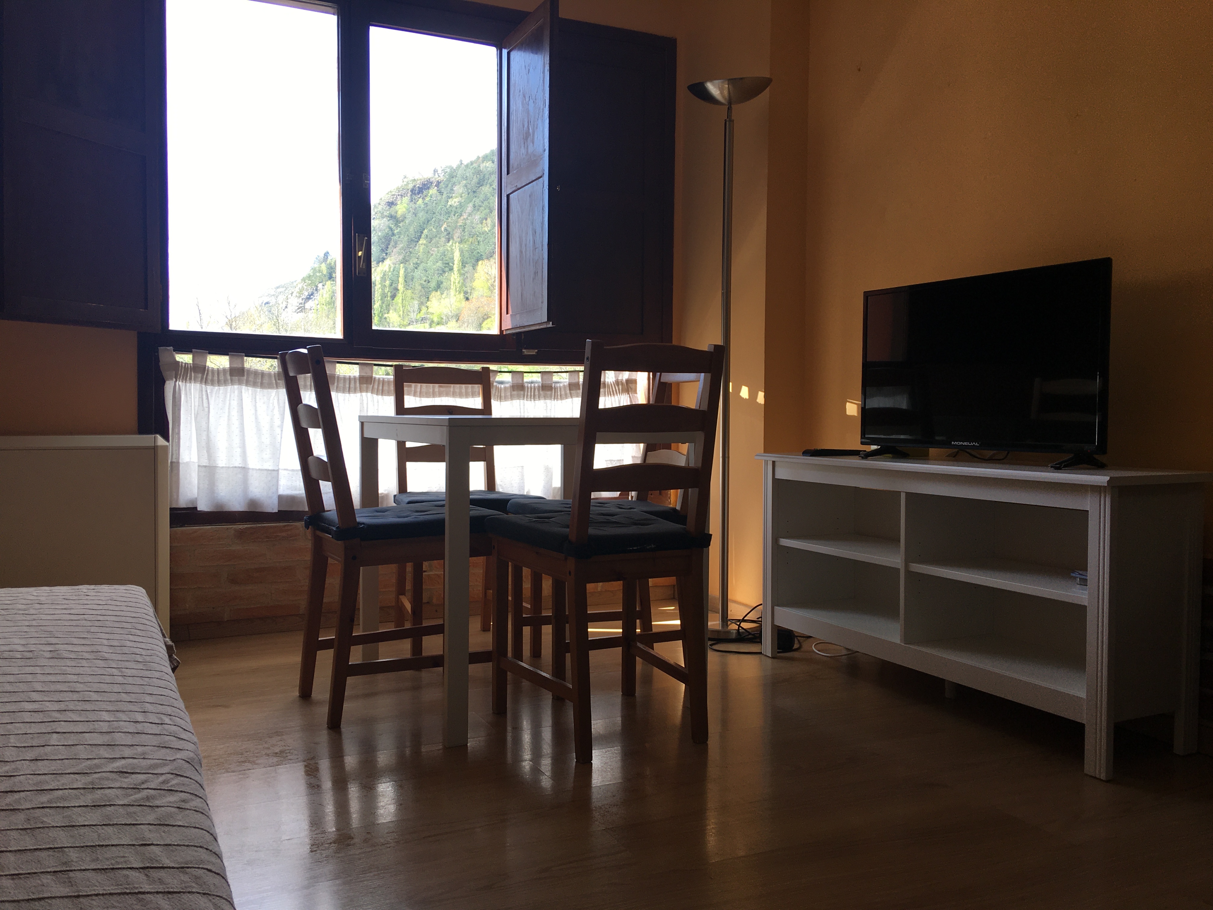 APARTAMENTO EL CANFRANERO EN CANFRANC (PUEBLO)